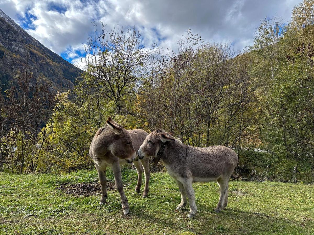 Cozyloge, Orelle & Les 3 Vallees ภายนอก รูปภาพ